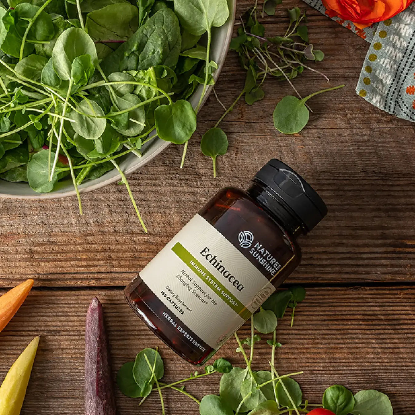 Echinacea