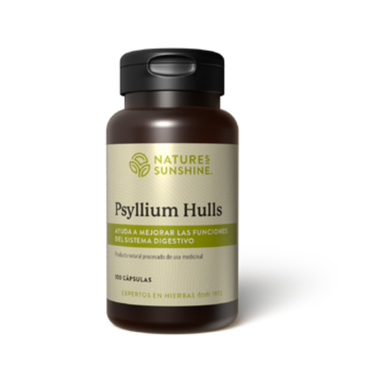 Psyllium Hulls