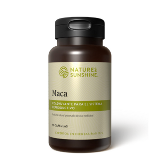 Maca