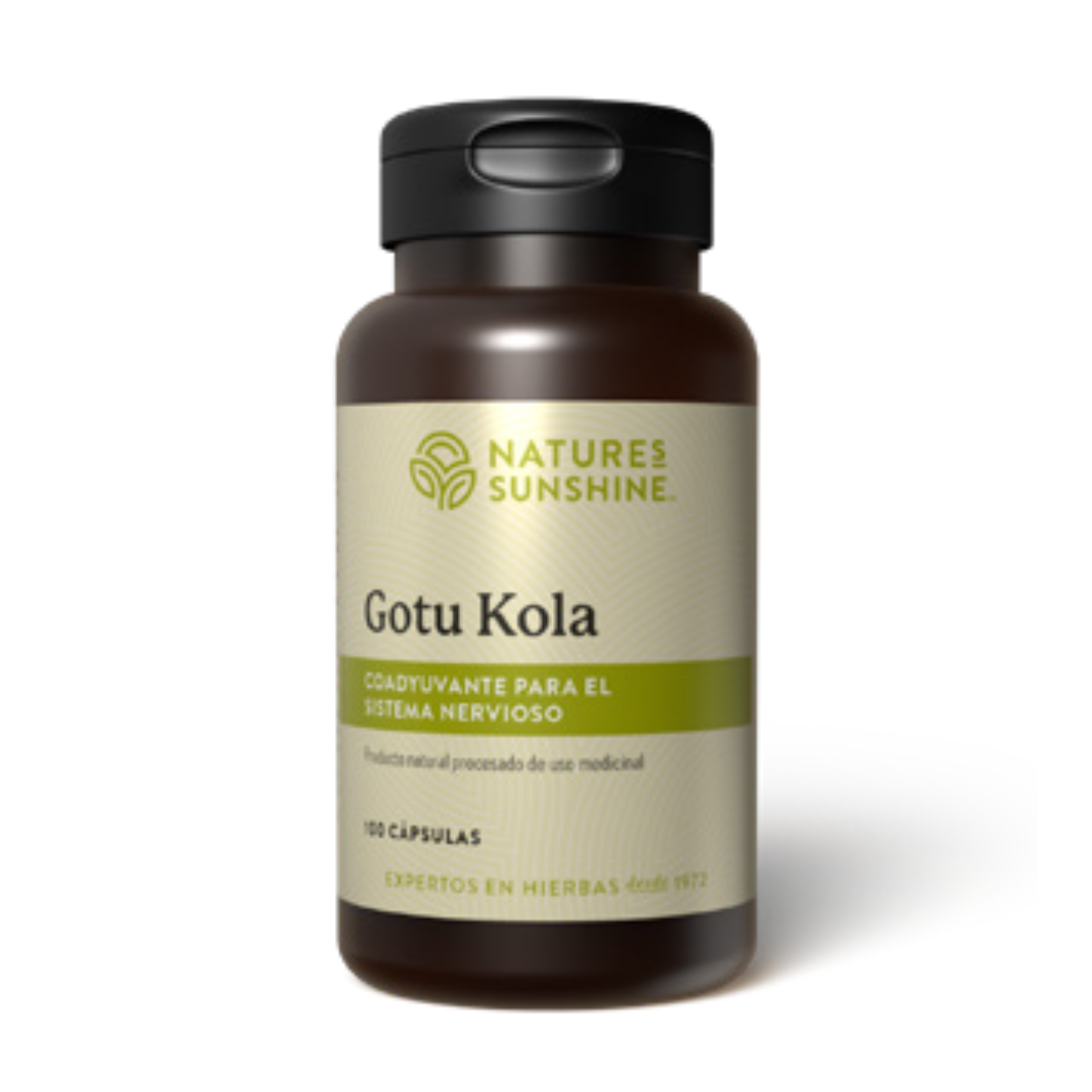 Gotu Kola