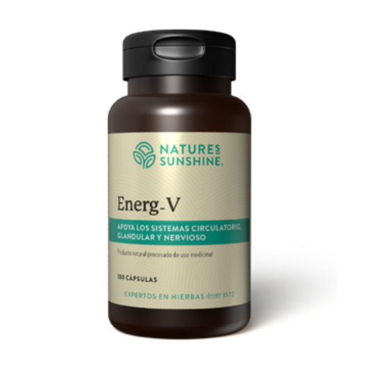Energ-V