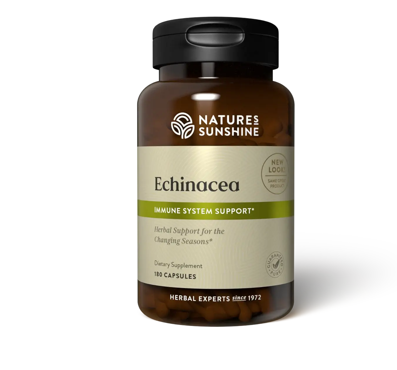 Echinacea