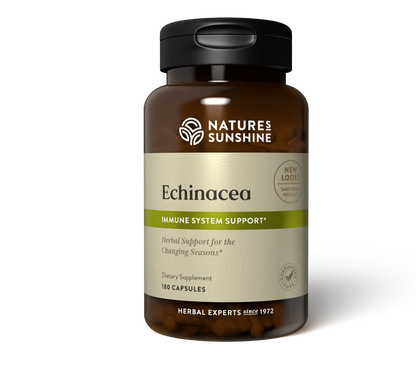 Echinacea