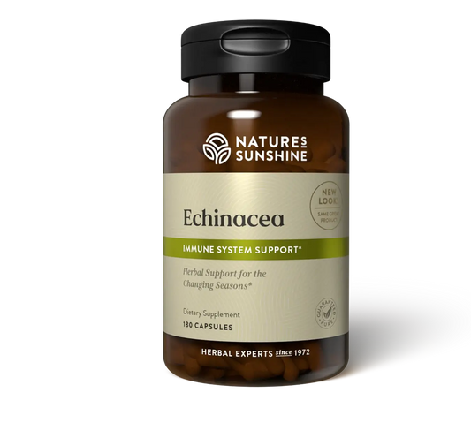 Echinacea
